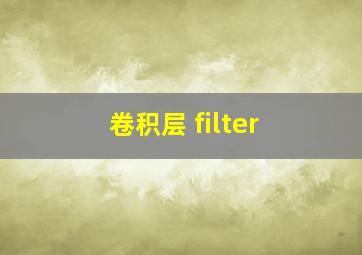 卷积层 filter